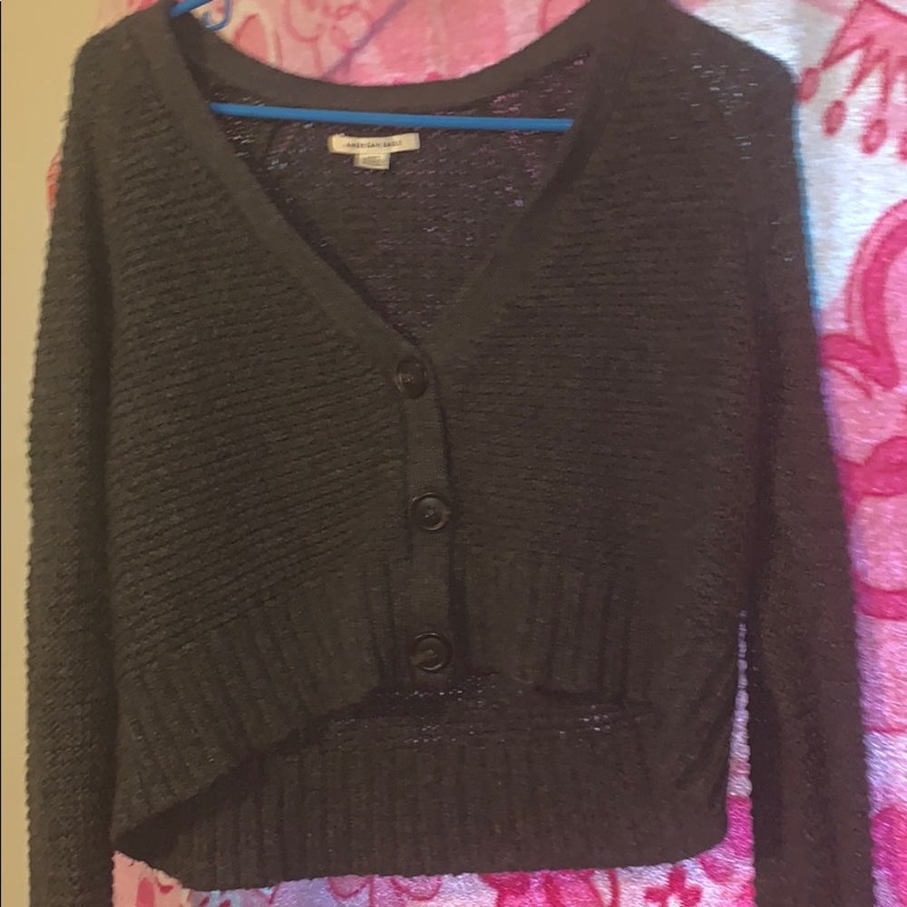 Cropped American Eagle Sweater